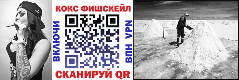 Купить закладки  Красный Холм  Cocaine Fish Scale 