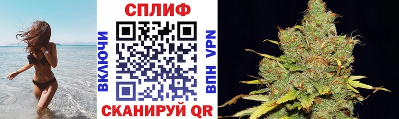 Бошки марихуана LSD WEED  Купить закладки  Красный Холм 